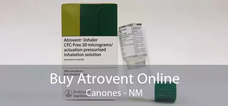 Buy Atrovent Online Canones - NM