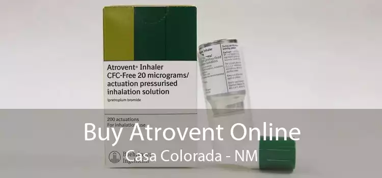 Buy Atrovent Online Casa Colorada - NM