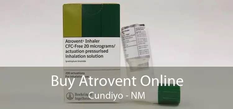 Buy Atrovent Online Cundiyo - NM